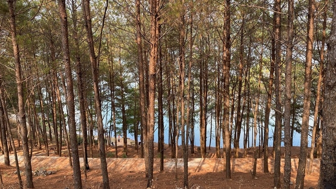 Top Vietnam Destinations: Glamorous Pleiku in the eyes of avid travel loner Top Vietnam Destinations: Glamorous Pleiku in the eyes of avid travel loner